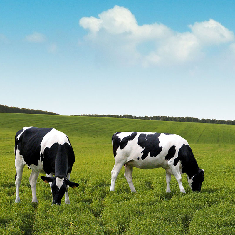 PanTheryx flags bovine colostrum’s composition for immunity and gut health